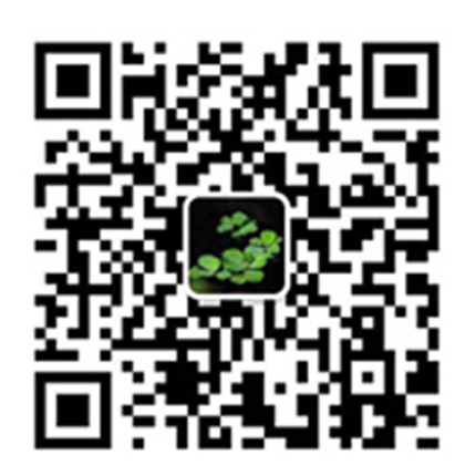 ewm